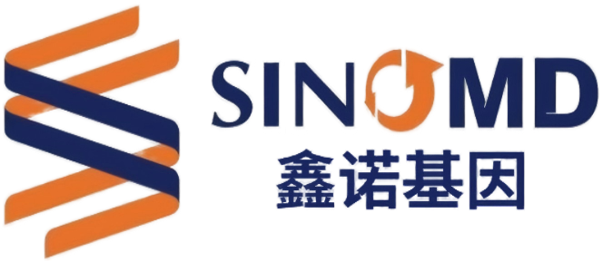 鑫诺美迪
